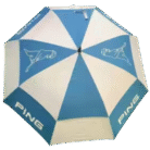 PING-umbrella