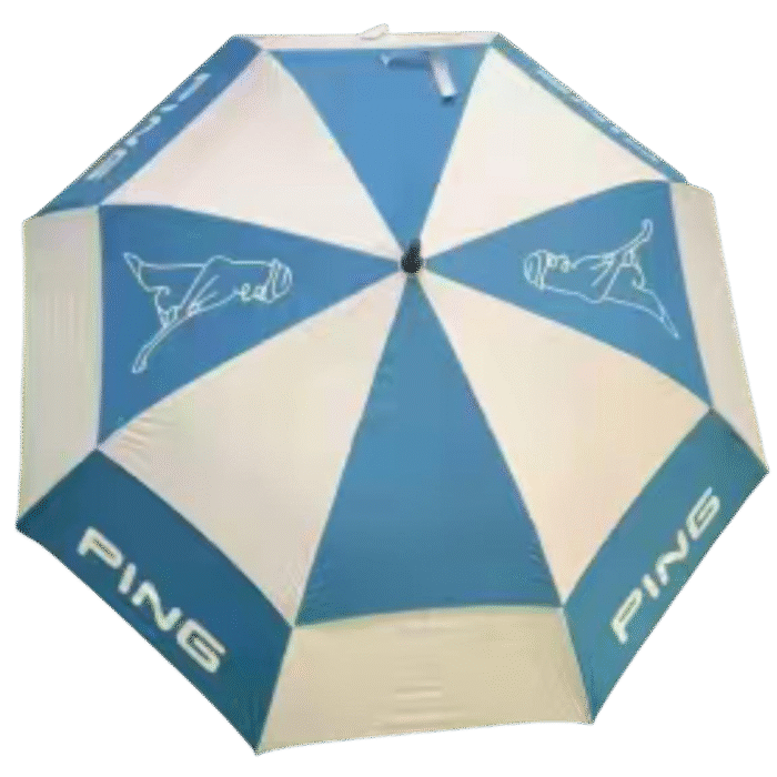 PING-umbrella